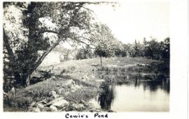 Photograph of Cowie Pond printed on a postcard