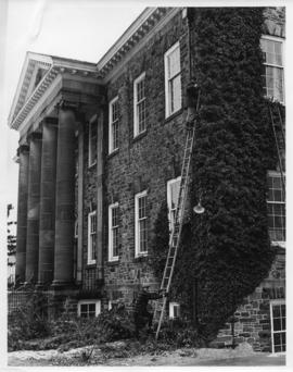 Photograph of men removing ivy from the front of the Dalhousie Law School