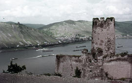 Photograph of the Fürstenberg Castle ruins