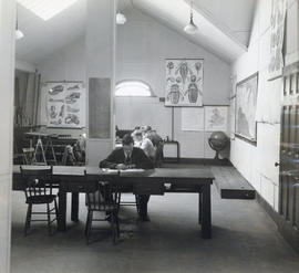 Photograph of students studying in the Science Building