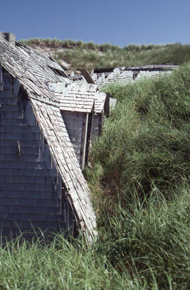 Photograph of an old house encased by encroaching dunes on Sable Island