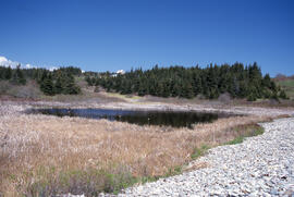 Photograph of a brackish pond at Hirtle's Beach along the Gaff Point trail, near Kingsburg, Nova ...