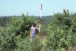 Photograph of an unidentified researcher conducting forest biomass measurements at Plot 1, a thre...