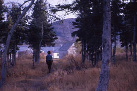 Photograph of Pauline White walking through the trees in Nain, Newfoundland and Labrador