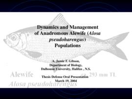 Dynamics and management of Anadromous alewife (Alosa pseudoharengus) populations : [PowerPoint pr...