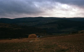 Photograph of landscape near old farms (alte hofe)