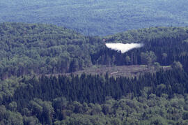 Photograph of a helicopter water-bomber dousing hot spots at a fire in La Mauricie National Park