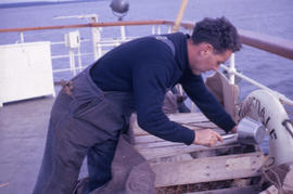 Photograph of a man tending to a crate of chickens on a boat deck in Newfoundland and Labrador