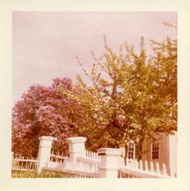 Photograph of the fences in front of the flowering trees and the Governor Wentworth House in Litt...