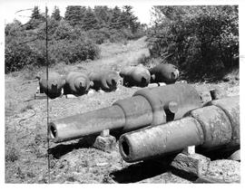 Photograph of cannons on McNab's Island