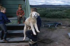 Photograph of children playing with a dog in Fort Chimo, Quebec