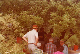 Photograph of several unidentified people sitting under trees at the First Roscoe Fillmore Memori...