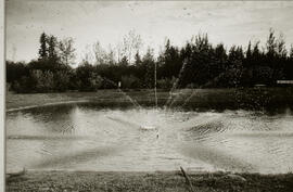Photograph of a small pond with a water sprinkler