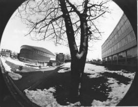 Fish-eye photograph of the F. H. Sexton Memorial Gymnasium and nearby buildings