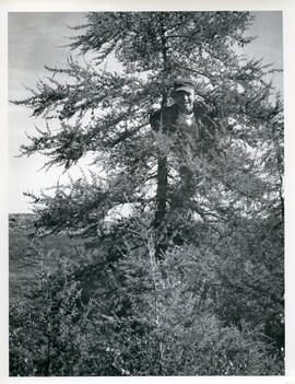 Photograph of Noah climbing a tree in Fort Chimo, Quebec