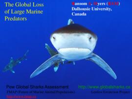 The global loss of large marine predators : [PowerPoint presentation]