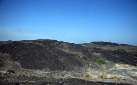Photograph of slag heaps on the north side of Kelly Lake, Copper Cliff site, near Sudbury, Ontario