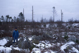 Photograph of an unidentified researcher standing amid pyrogenic heath barrens at an unidentified...