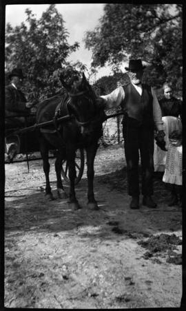 Man holding a horse attached to a cart