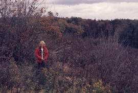 Photograph of an unidentified person standing in regrowth two years after glyphosate spraying, Pl...