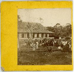 Photograph of Rev. J. McFarlane's mission house, Lifou, New Caledonia