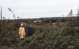 Photograph of two unidentified people standing in a sparse Krummholz Zone area, Postville, Newfou...