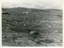 Photograph of the tundra in northern Quebec
