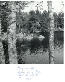 Photograph of the Mersey River shore, adjoining Mersey Lodge, Upper Great Brook