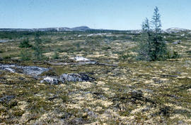 Photograph of the tundra at old Fort Chimo, Quebec