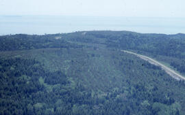 Aerial photograph of a spruce plantation near the Fundy National Park boundary, southern New Brun...