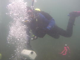 Photograph of diver underwater