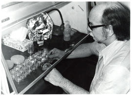 Photograph of an individual working with petrie dishes