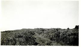 Photograph of Fort Beausejour from an old trench leading to the outworks