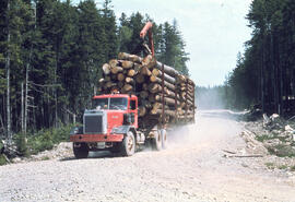 Photograph of a truck carrying a full load of logs from an unidentified Nova Scotian site