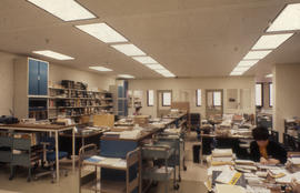 Photograph of back offices in the Kellogg Library