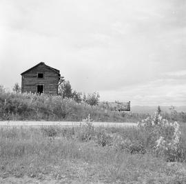 Photograph of an abandoned wooden shed in the Yukon