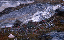 Photograph of rocks and vegetation in Fort Chimo, Quebec