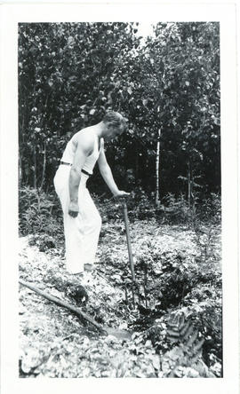 Photograph of Thomas Head Raddall digging in a shell midden at Port Joli, Nova Scotia