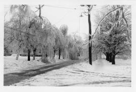 Photograph of North Summer street after an ice storm in Summerside Prince Edward Island