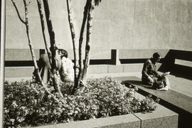 Photograph of three people in a courtyard in San Francisco, California