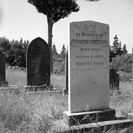Photograph of the tombstone of Peter McNab