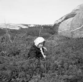 Photograph of Victoria picking berries in Fort Chimo, Quebec