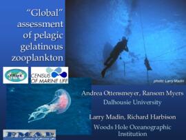 Global assessment of pelagic gelatinous zooplankton : [PowerPoint presenation]