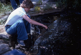 Photograph of a researcher examining weathered crude oil at Alexandria Bay, New York