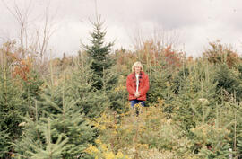 Photograph of an unidentified person standing amid conifer regeneration in the second post-spray ...