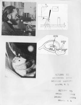 Psychology - electrical stimulation procedure on rat, with diagrams