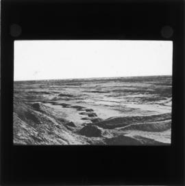 Photograph of the desert