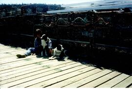 Photograph of a person and two dogs on a dock next to lobster traps during the Purebred Sheep Bre...