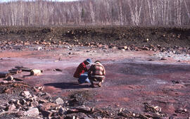 Photograph of two unidentified researchers examining a roast bed at the Falconbridge site, near S...