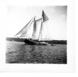 Photograph of the packet schooner Daisy Vaughan sailing